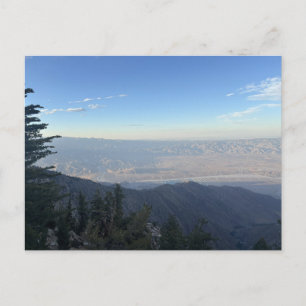 Mountain Overlook Panorama with Foreground Trees Postcard