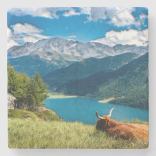 Mountain Pasture Highlands Cow Stone Coaster