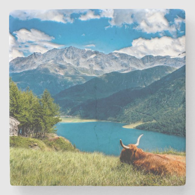 Mountain Pasture Highlands Cow Stone Coaster (Front)