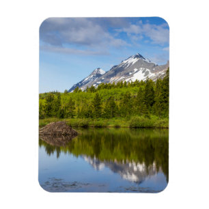 Mountain Peaks Reflect Into A Beaver Pond Magnet