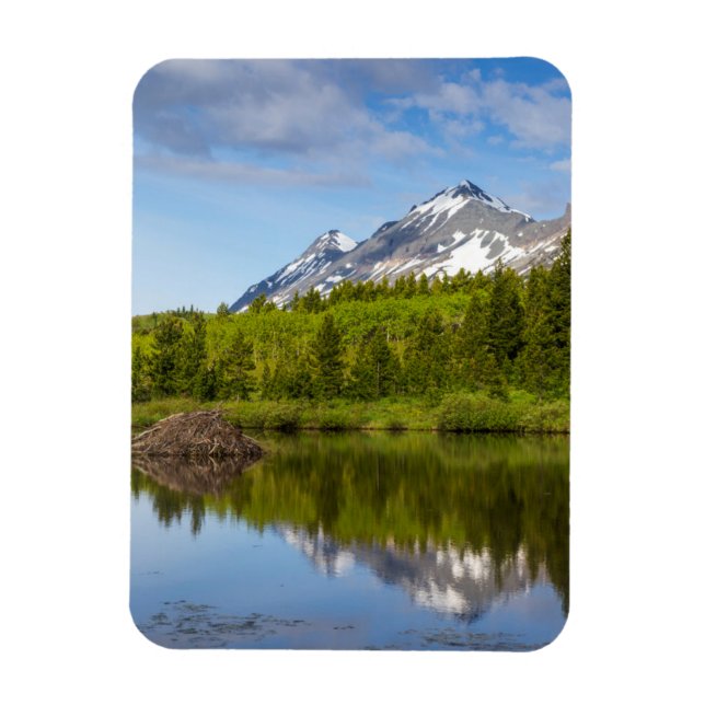 Mountain Peaks Reflect Into A Beaver Pond Magnet (Vertical)