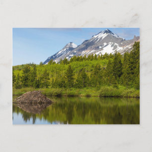 Mountain Peaks Reflect Into A Beaver Pond Postcard