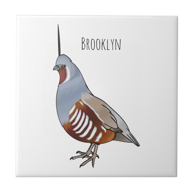Mountain quail bird cartoon illustration ceramic tile (Front)