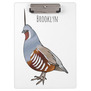 Mountain quail bird cartoon illustration clipboard