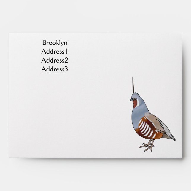 Mountain quail bird cartoon illustration envelope (Front)