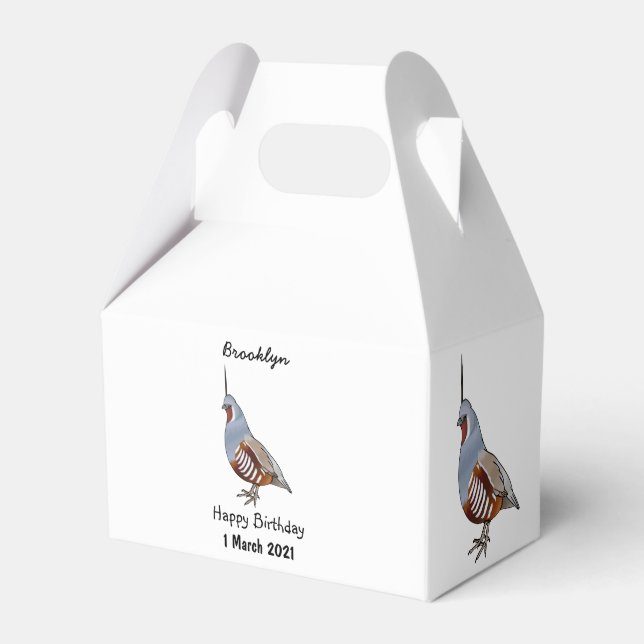 Mountain quail bird cartoon illustration favour box (Front Side)