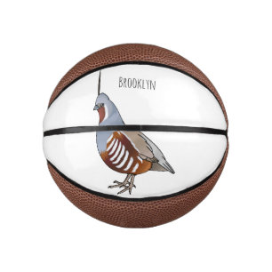 Mountain quail bird cartoon illustration  mini basketball