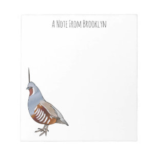 Mountain quail bird cartoon illustration notepad