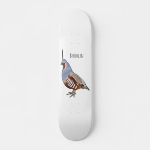Mountain quail bird cartoon illustration skateboard