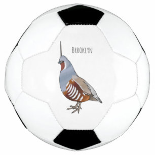 Mountain quail bird cartoon illustration soccer ball