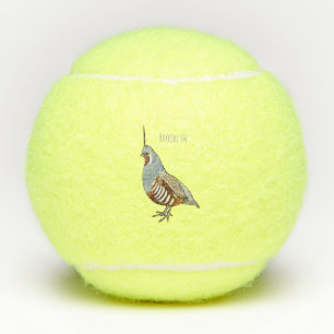 Mountain quail bird cartoon illustration tennis balls