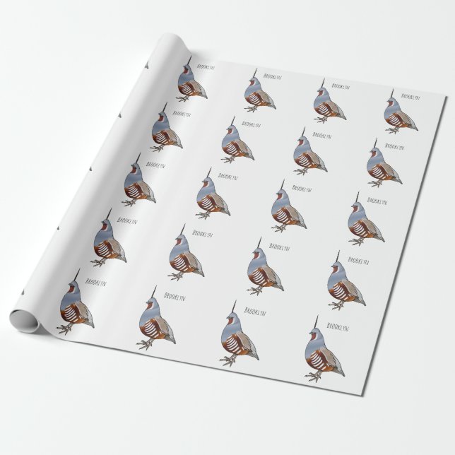Mountain quail bird cartoon illustration   wrapping paper (Unrolled)