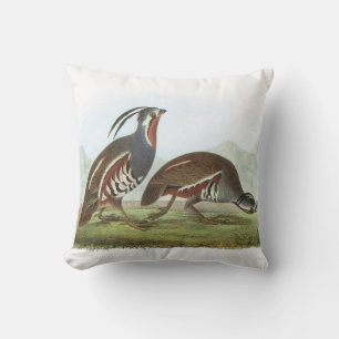 Mountain Quail by Audubon Cushion