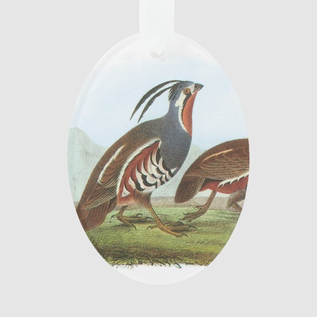Mountain Quail by Audubon Ornament (Front)