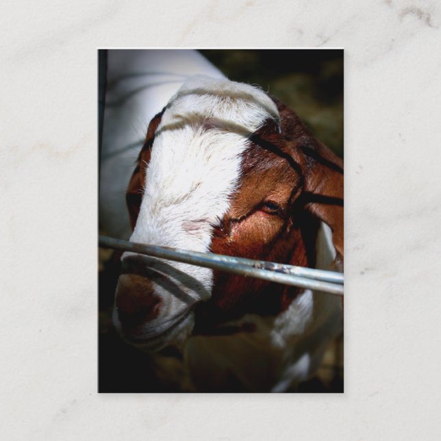 Mountain Ranch Business Cards (Front)