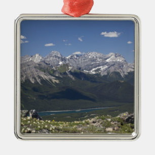 Mountain Range And Lake From On Top Of A Mountain Metal Tree Decoration