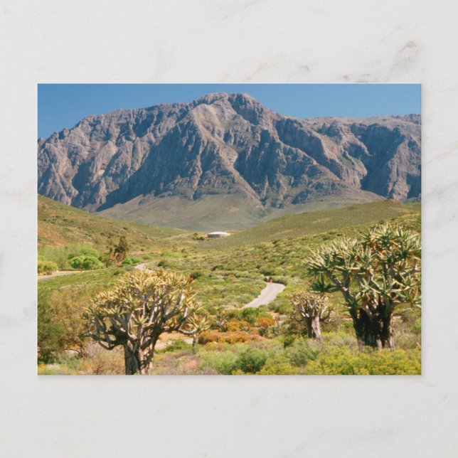 Mountain Range, Worcester Nature Reserve Postcard (Front)