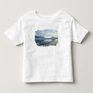 Mountain Ranges around Port Lockeroy Toddler T-Shirt