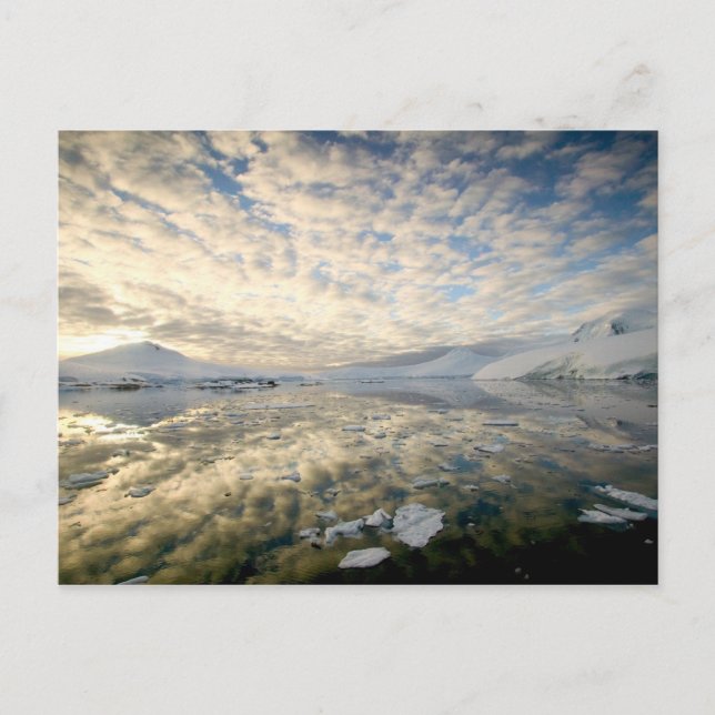 Mountain Ranges around Port Lockeroy with Postcard (Front)