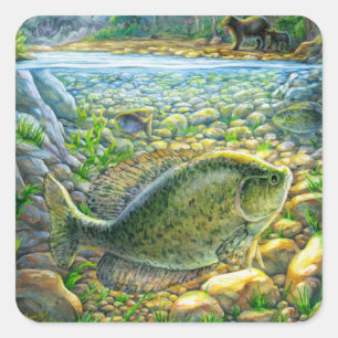 Mountain River Fish Square Sticker