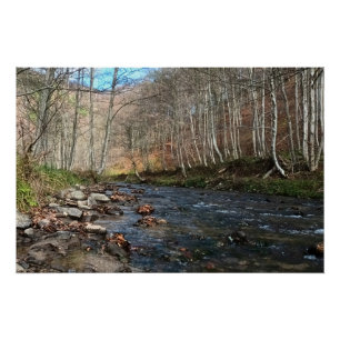 Mountain River in Autumn – Wild Nature Romania Poster