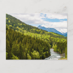 Mountain river in the forest of British Columbia Postcard