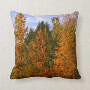 Mountain scene, trees, fall colours cushion