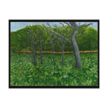 Mountain Serenity Postcard