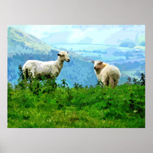 MOUNTAIN SHEEP POSTER