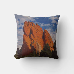 mountain spirit cushion