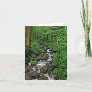 Mountain Stream Card