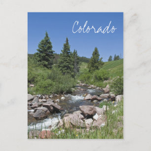 Mountain Stream Colorado Postcard