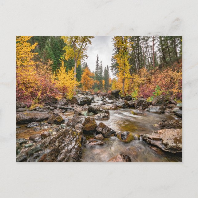 Mountain Stream in Autumn/Fall Photo Postcard (Front)