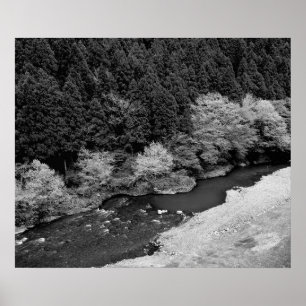 Mountain Stream in Black & White Poster