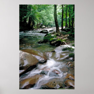 Mountain Stream Poster