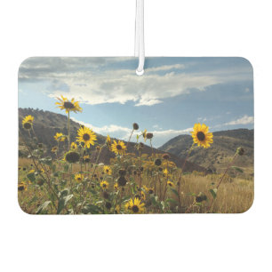 Mountain Sunflowers Beautiful Outdoors Photo Car Air Freshener
