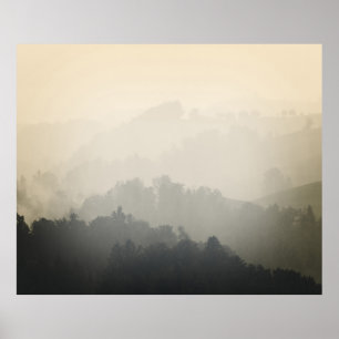 MOUNTAIN SURROUNDED BY TREES POSTER