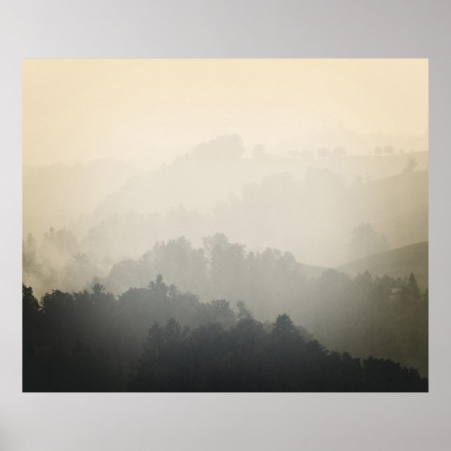 MOUNTAIN SURROUNDED BY TREES POSTER (Front)