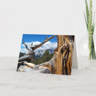 Mountain thru Tree Blank Inside Greeting Card