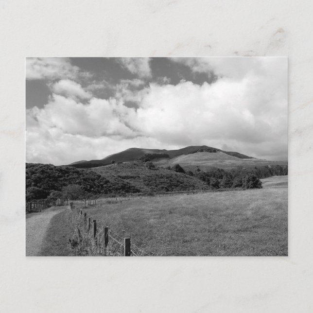 "Mountain Trail" Postcard (Front)