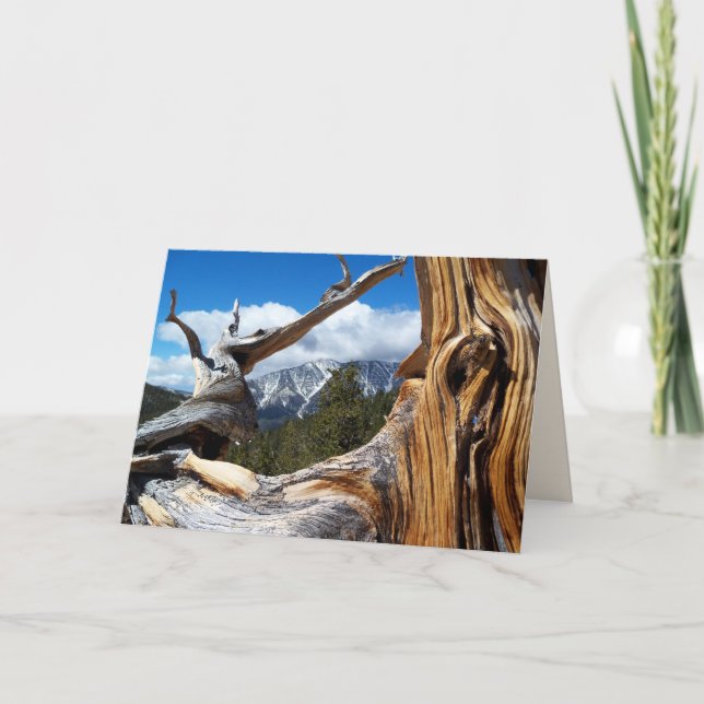 Mountain Tree Blank Inside All Occasion Greeting Card (Front)