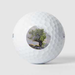 MOUNTAIN TREE GOLF BALLS