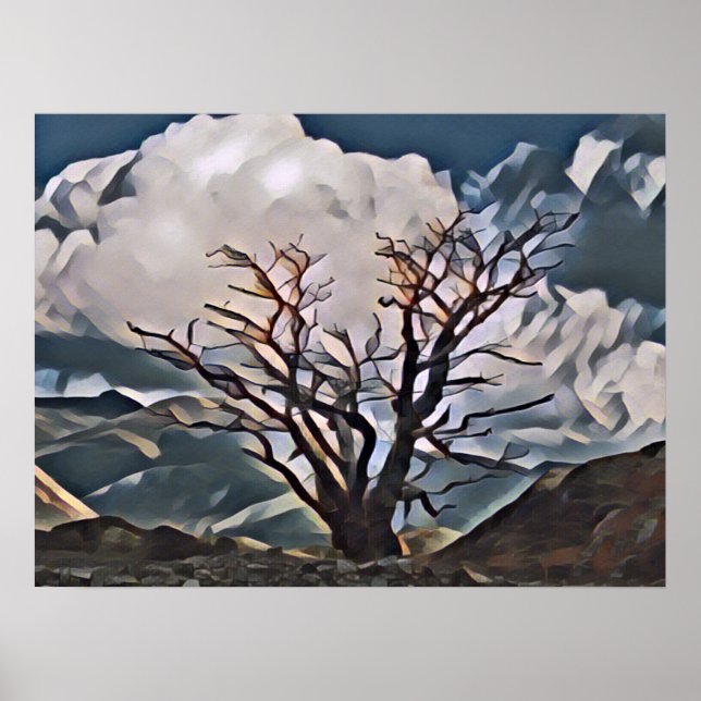 MOUNTAIN TREE    POSTER (Front)