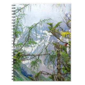 mountain trees,nature trees,forest landscape   notebook