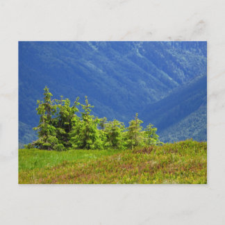 mountain trees postcard