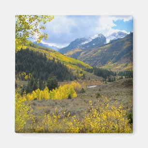 Mountain Valley Magnet