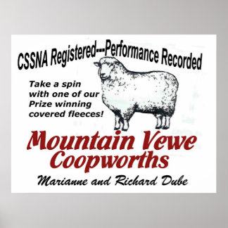 Mountain Vewe Coopworth Poster