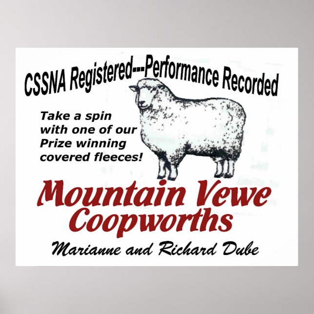 Mountain Vewe Coopworth Poster (Front)