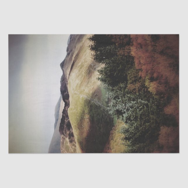 MOUNTAIN VIEWS OF WALES TISSUE PAPER (Front)