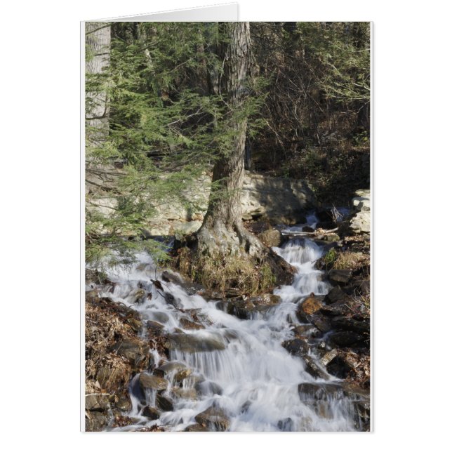 Mountain Waterfall (Front)